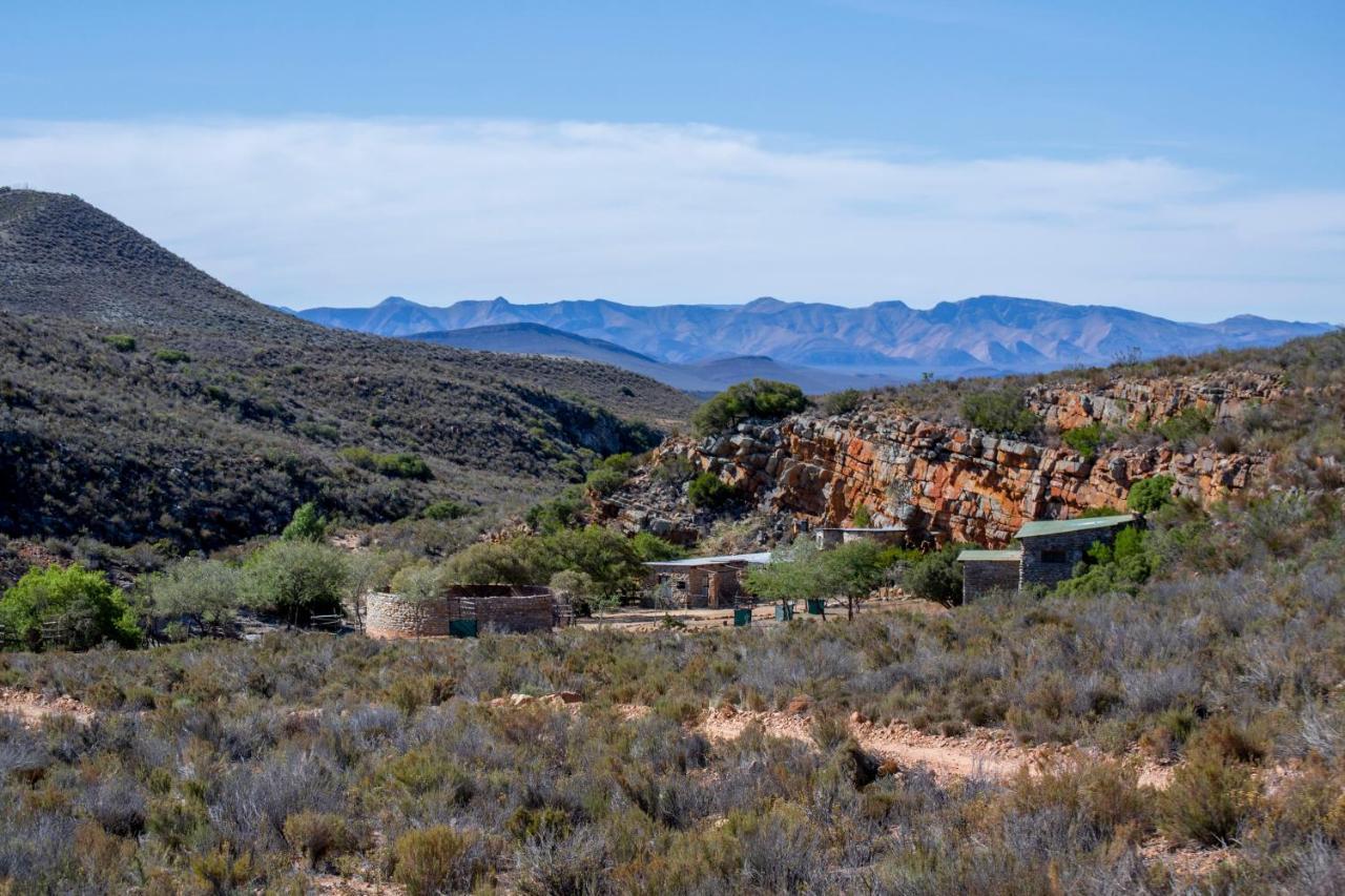 Desert Wind Private Guest And Game Farm Montagu Esterno foto